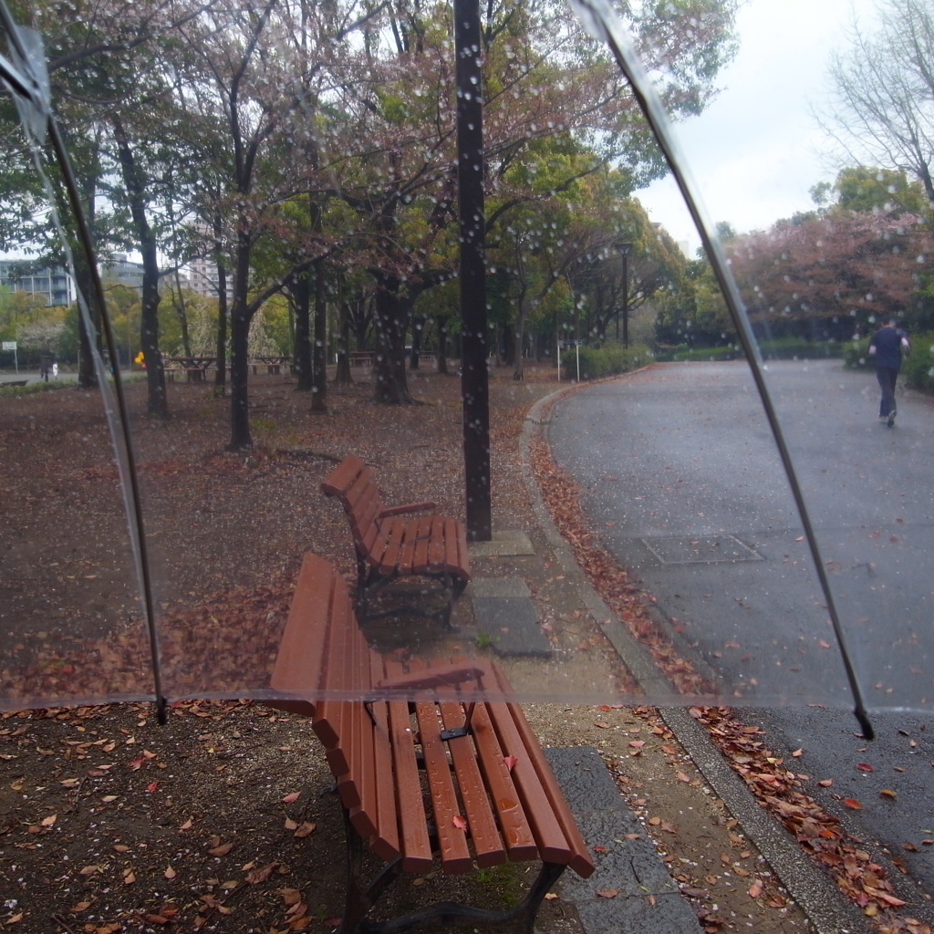 雨の日のお散歩は