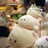 親しろたん、子しろたん、孫・・・