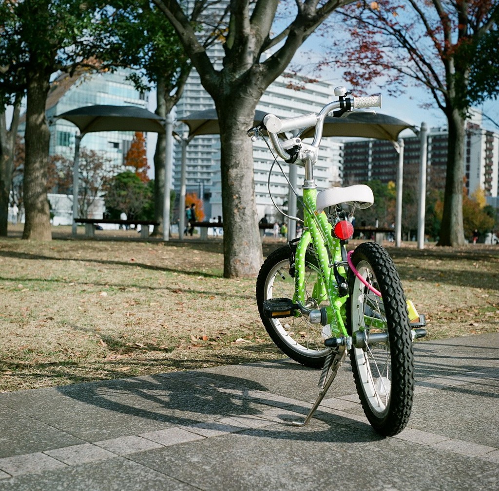 自転車のある風景