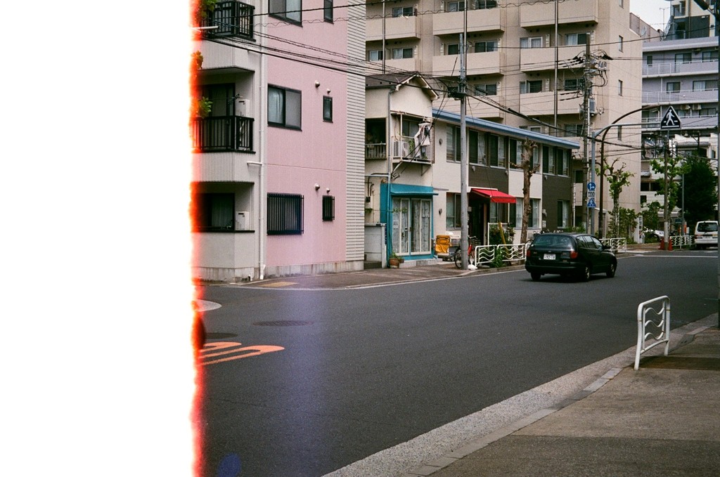 漏れた夏