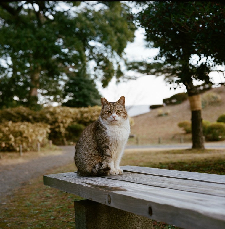 こっち見んな