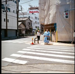 ファインダー越しの相撲の世界