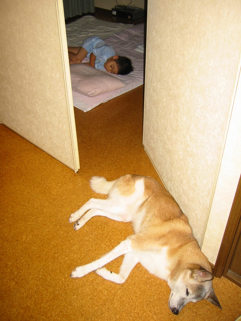 寝相