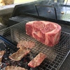 肉だわさ！　1