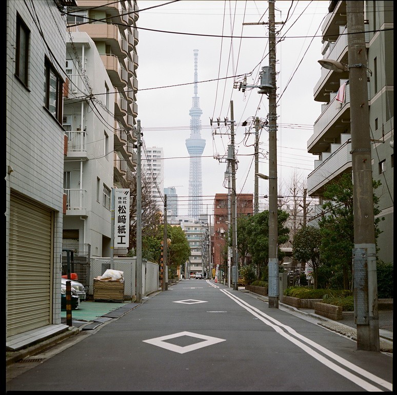 見慣れてきた