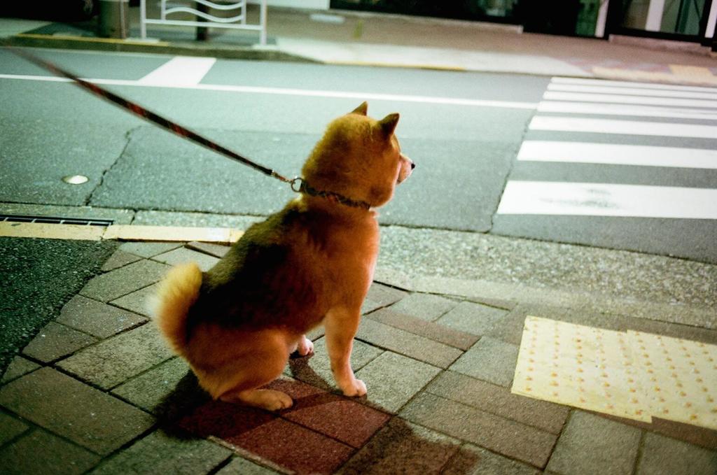 別れた妻と息子…