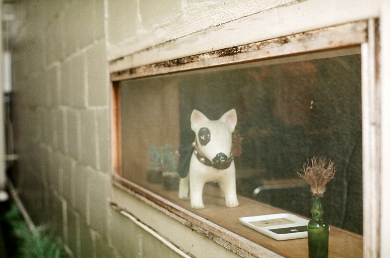 ペットリしてるね