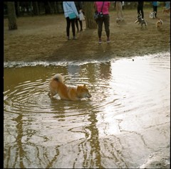 しまった