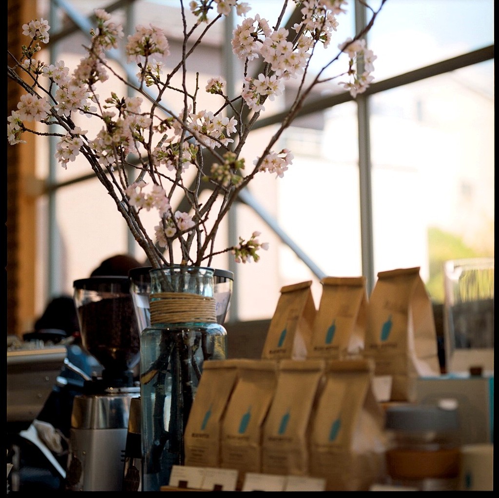 カフェ桜