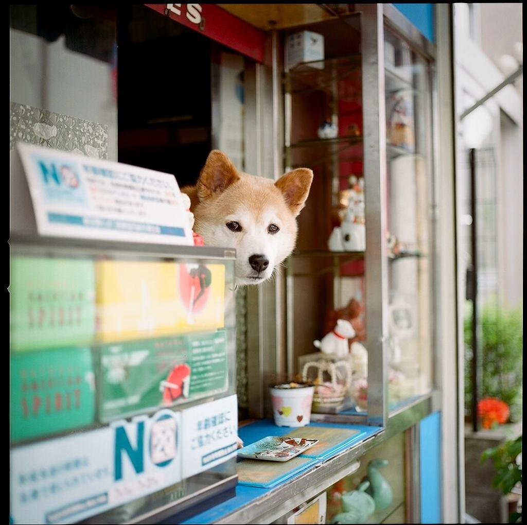 いらっしゃいませ