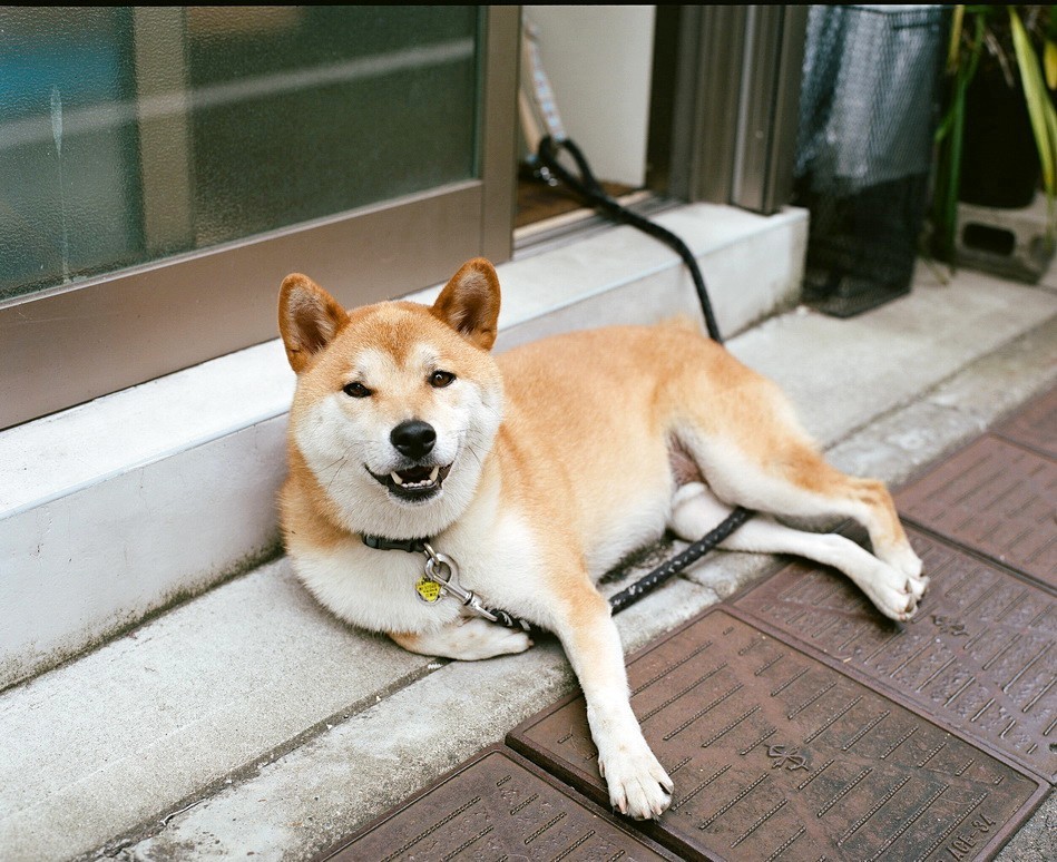 こうた君