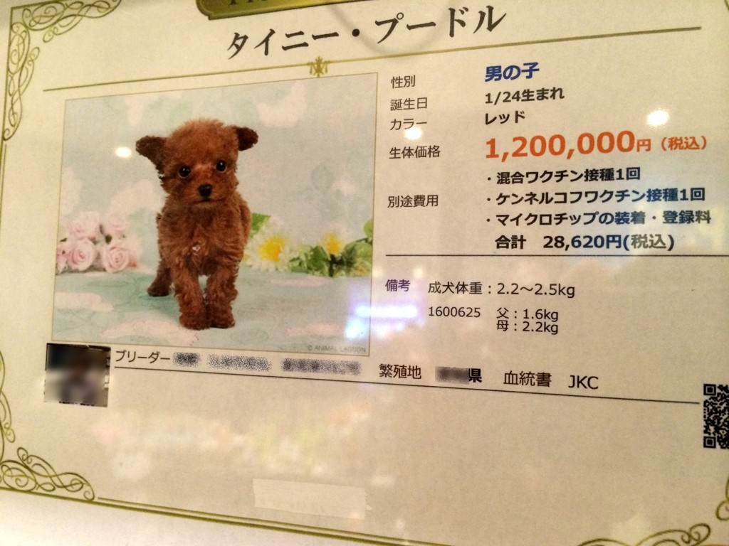 この値段です