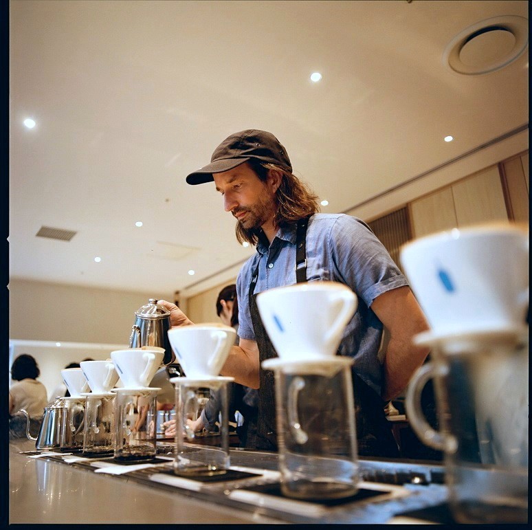 Bluebottle