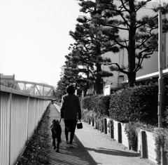 遊歩道　1