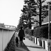 遊歩道　1