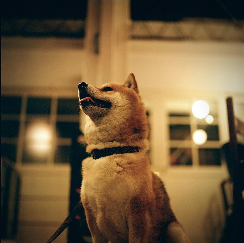 期待の眼差し