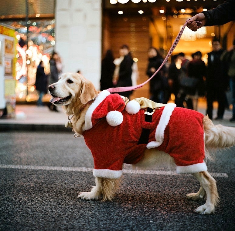 MERRY XMAS