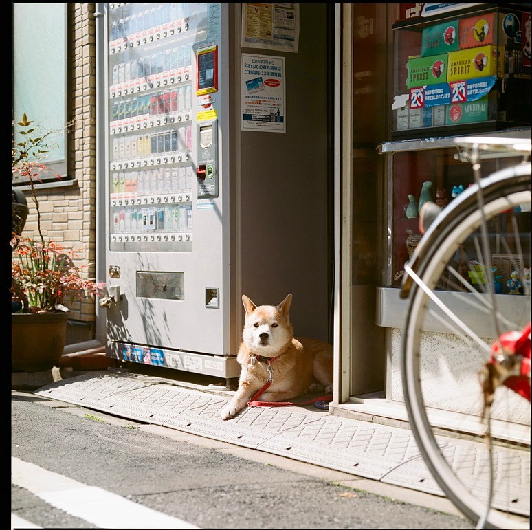 「よう」