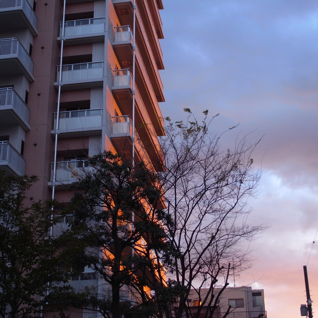 夕焼け