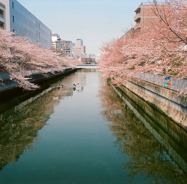 海辺橋より