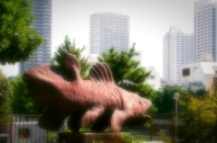 シーラカンス
