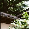 霊巌寺