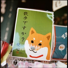 散歩ですか？
