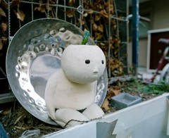 へんな植木鉢