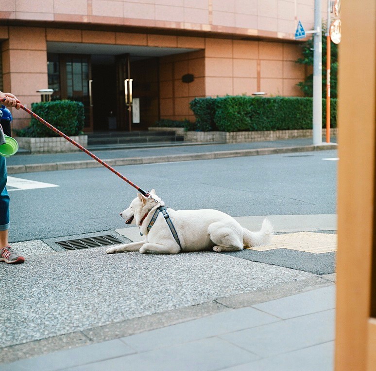 イヤだぁーっ！！