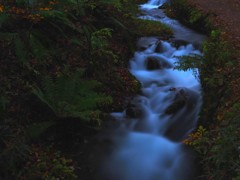 白糸の滝の近く