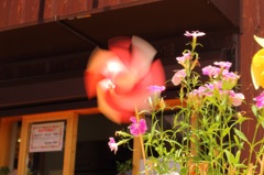 春風♪