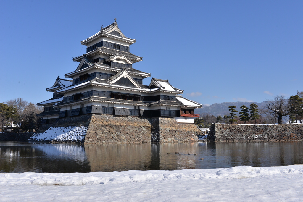 信州のからす城
