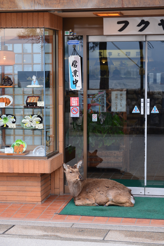 サボり中