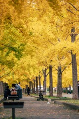 加須はなさき公園_20251116_DSC_3361-2