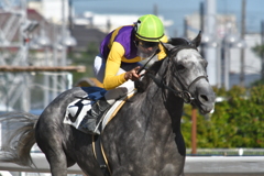 DSC_8202_真島 大輔_1600