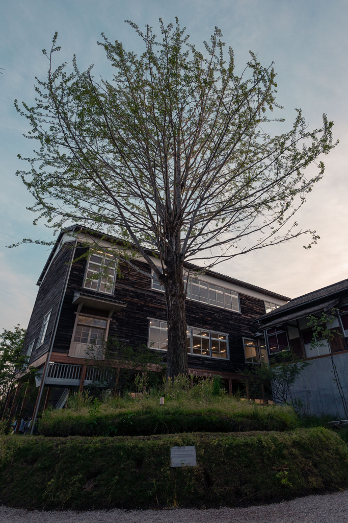 20250508_EXPO2025_DSC_0476-2