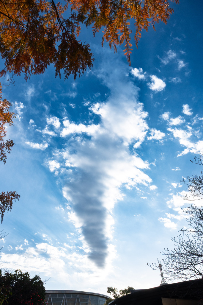 20251203_大阪出張‗DSC_3688-2