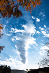 20251203_大阪出張‗DSC_3688-2