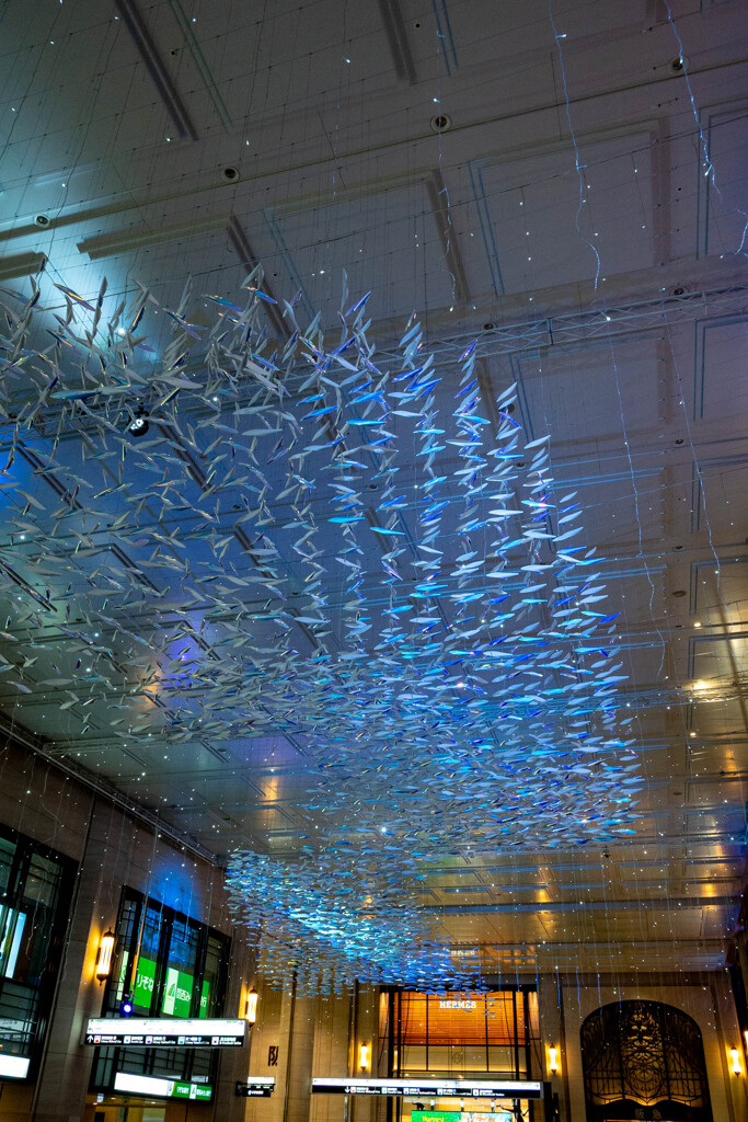 20251203_大阪出張‗DSC_3564-2