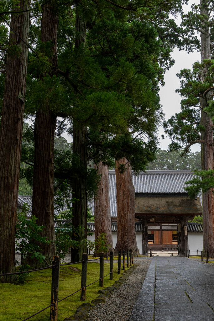 20250714_仙台出張_瑞巌寺（国宝）_DSC_1407-2