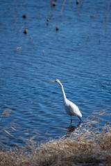 20260103 城沼 DSC_9884-2