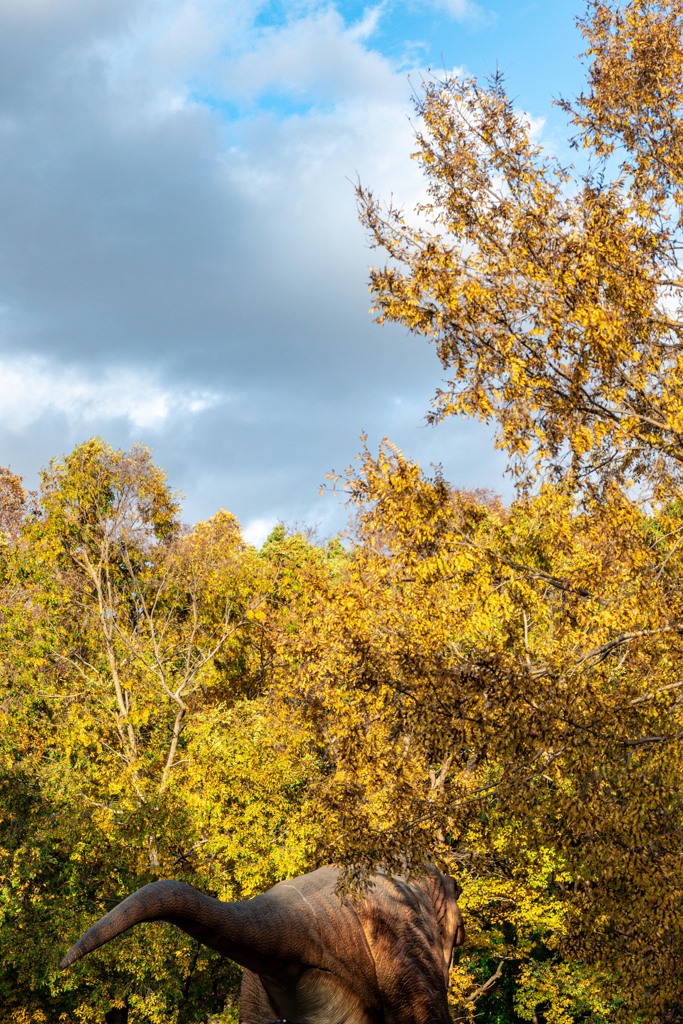 20251203_大阪出張‗DSC_3651-2