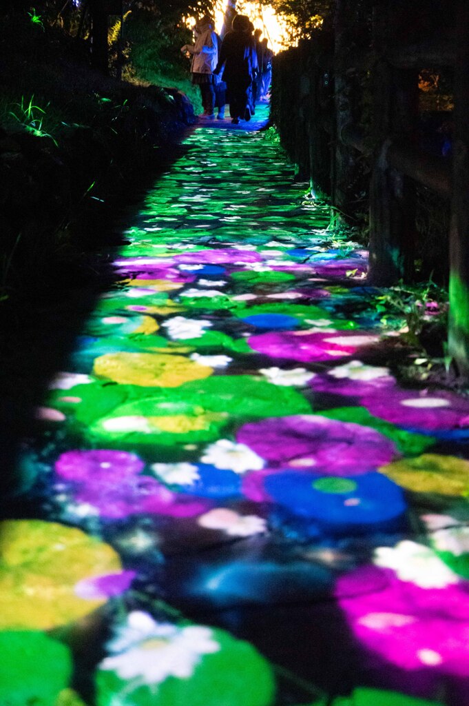 20250925_北海道出張_JOZANKEI NATURE LUMINARIE