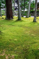 20250714_仙台出張_瑞巌寺（国宝）_DSC_1404-2