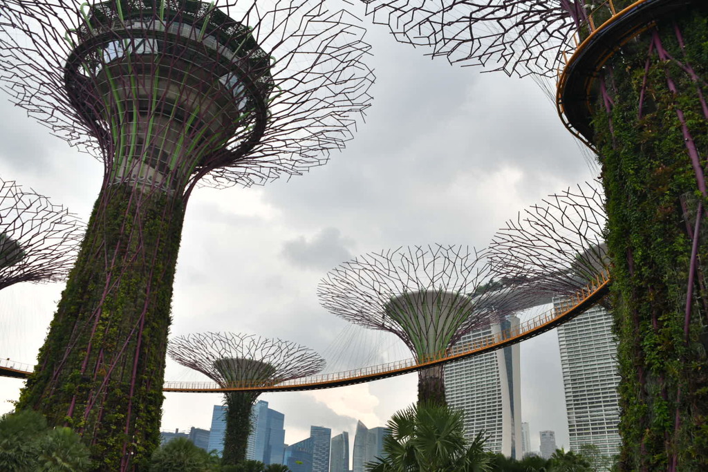 出張8日目 ガーデンバイザベイ