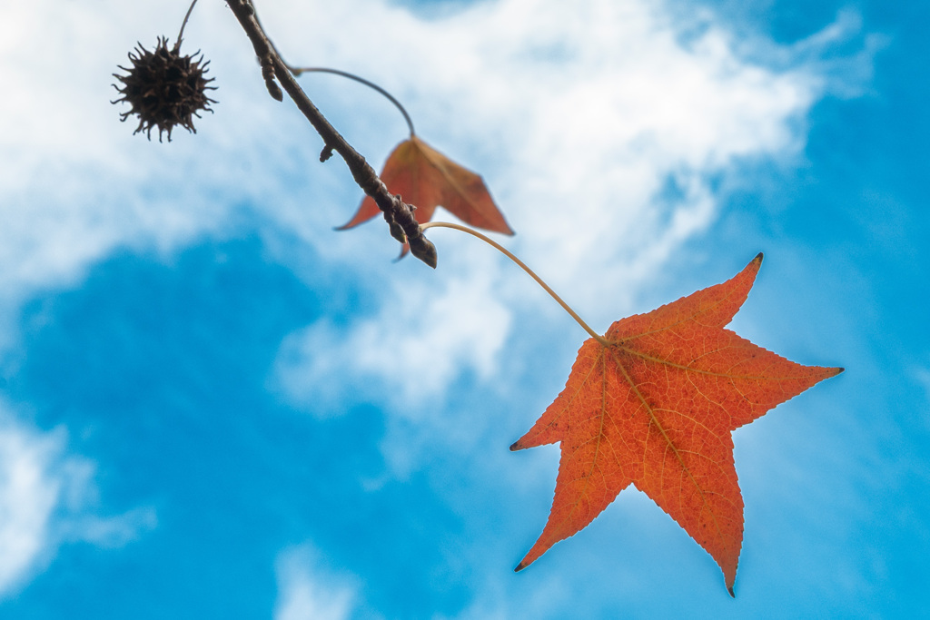 20251203_大阪出張‗DSC_3671-2