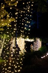 20250925_北海道出張_JOZANKEI NATURE LUMINARIE