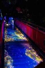 20250925_北海道出張_JOZANKEI NATURE LUMINARIE
