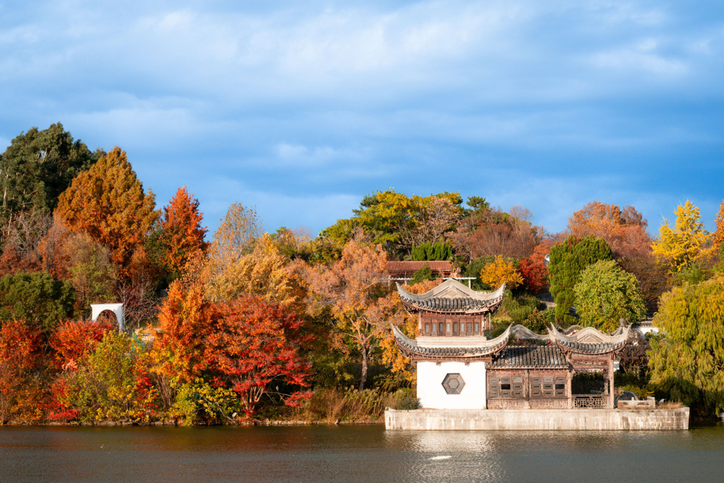 20251203_大阪出張‗DSC_3643-2