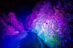 20250925_北海道出張_JOZANKEI NATURE LUMINARIE